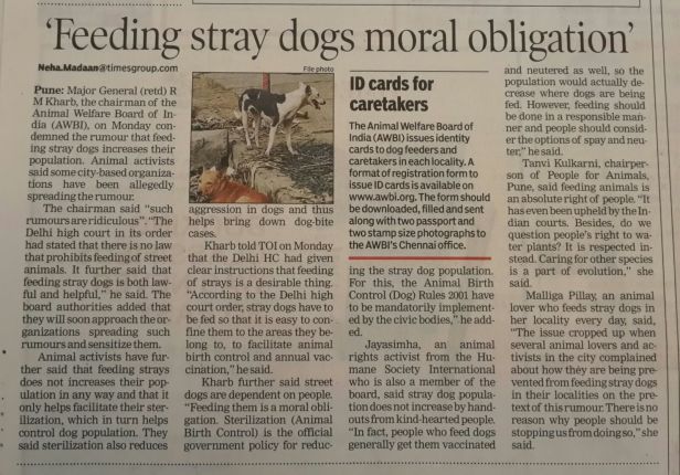 Feeding stray dogs moral obligation