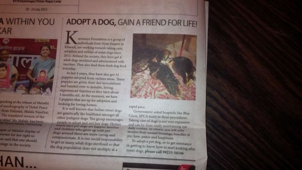 Citylights Newspaper, Vimannagar, Pune, Aug 2015 issue