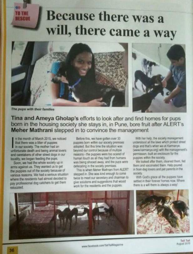 Tell Tail Magazine, Pune, Aug 2015 issue