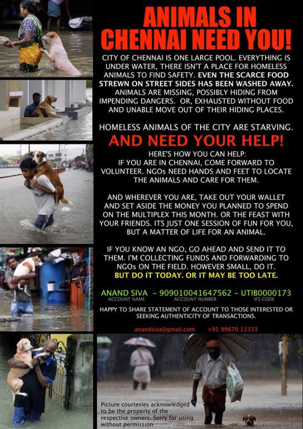 12313928_10153298522547705_4797210853174239228_n