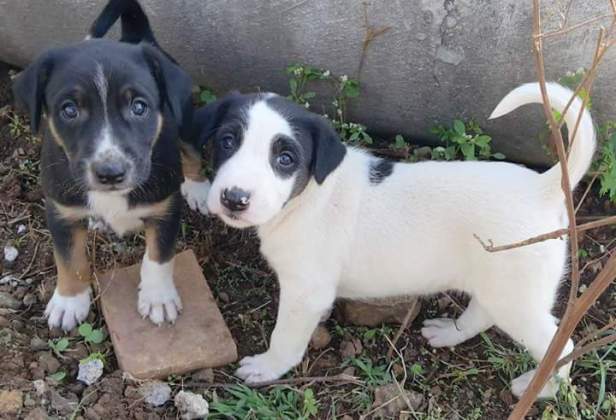 FB_IMG_1449387804327