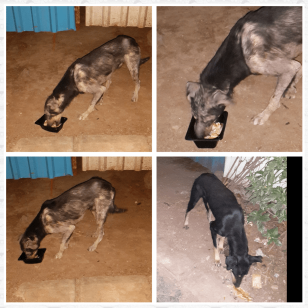 Photo Collage Maker_rPUtRK